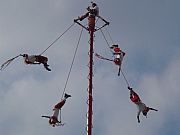 Camara Cybershot digital
Voladores de Papantla
Coral Garza
PAPANTLA
Foto: 19067