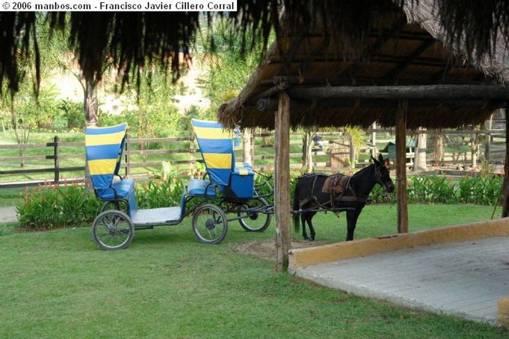 Foto de Sabaneta, Restaurante Mayoría, Antioquia, Colombia - Un paseo por Sabaneta