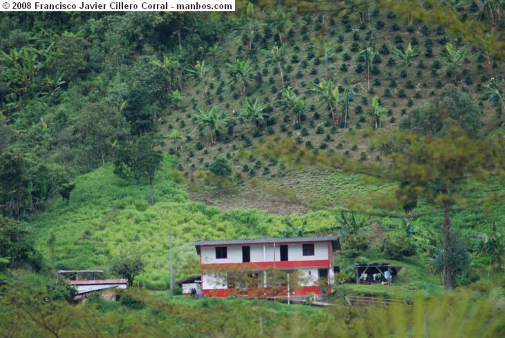 Jardín
Espectacular vista desde del Farallón del Zitará
Antioquia