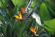 Jardin Botanico, Medellin, Colombia