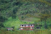 Eje cafetero, Jardín, Colombia