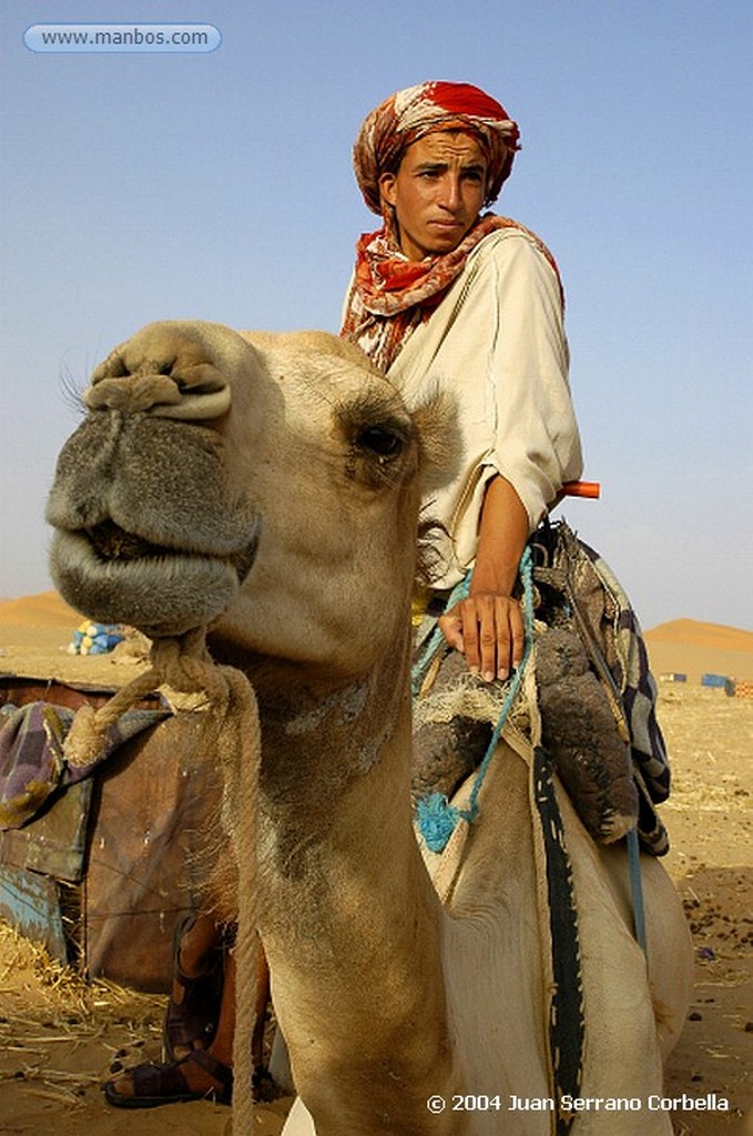 Merzouga
Camel
Marruecos