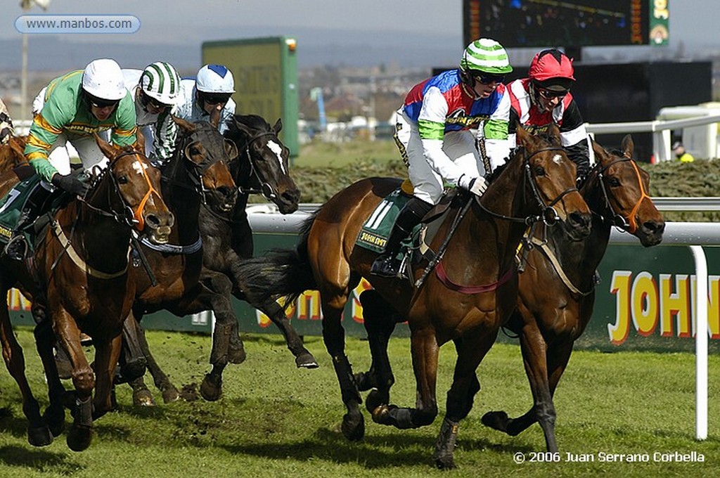 Grand National
Grand National
Grand National