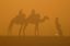 Merzouga
Camel
Marruecos