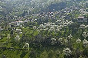 Sarajevo, Sarajevo, Bosnia Herzegovina