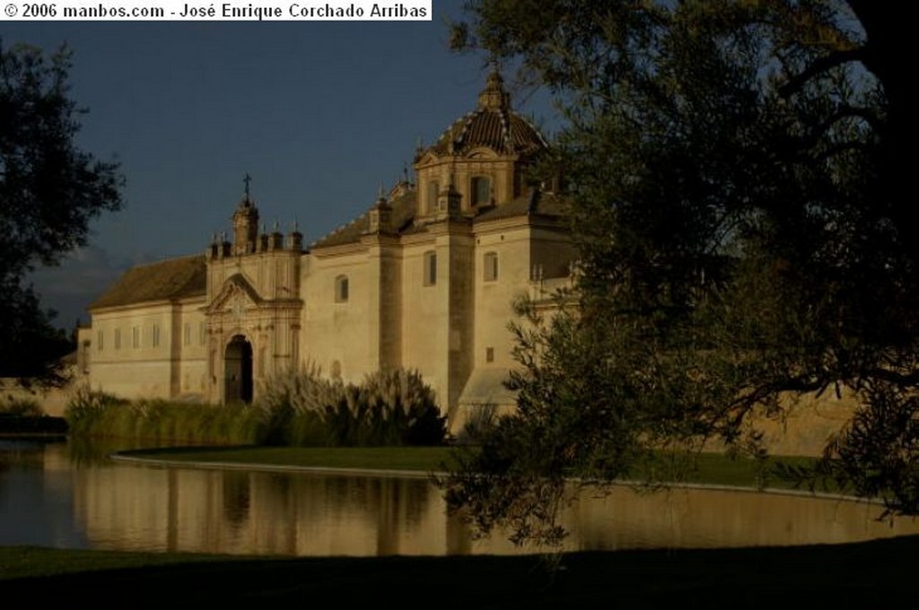 Sevilla
Cartuja
Sevilla