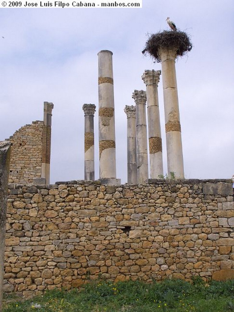 Volubilis
Arco de Triunfo de Caracalla
Meknes