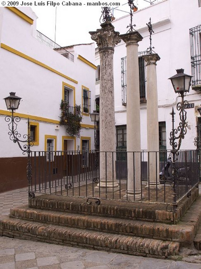 Sevilla
El Claustro Mayor
Sevilla