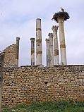 Volubilis, Volubilis, Marruecos