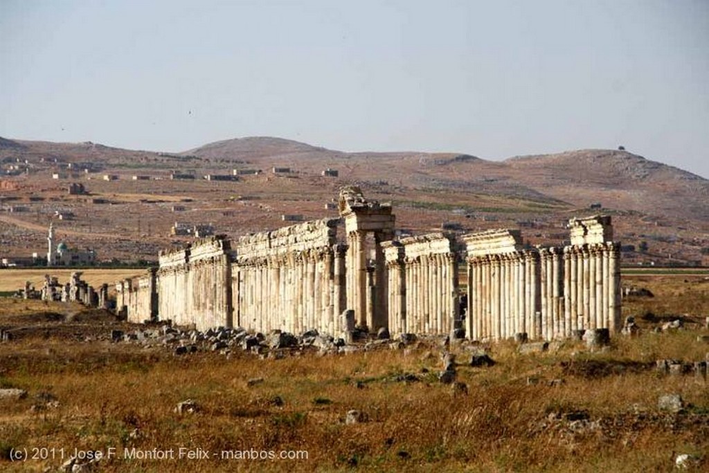 Apamea
Ruinas de Apamea
Hama