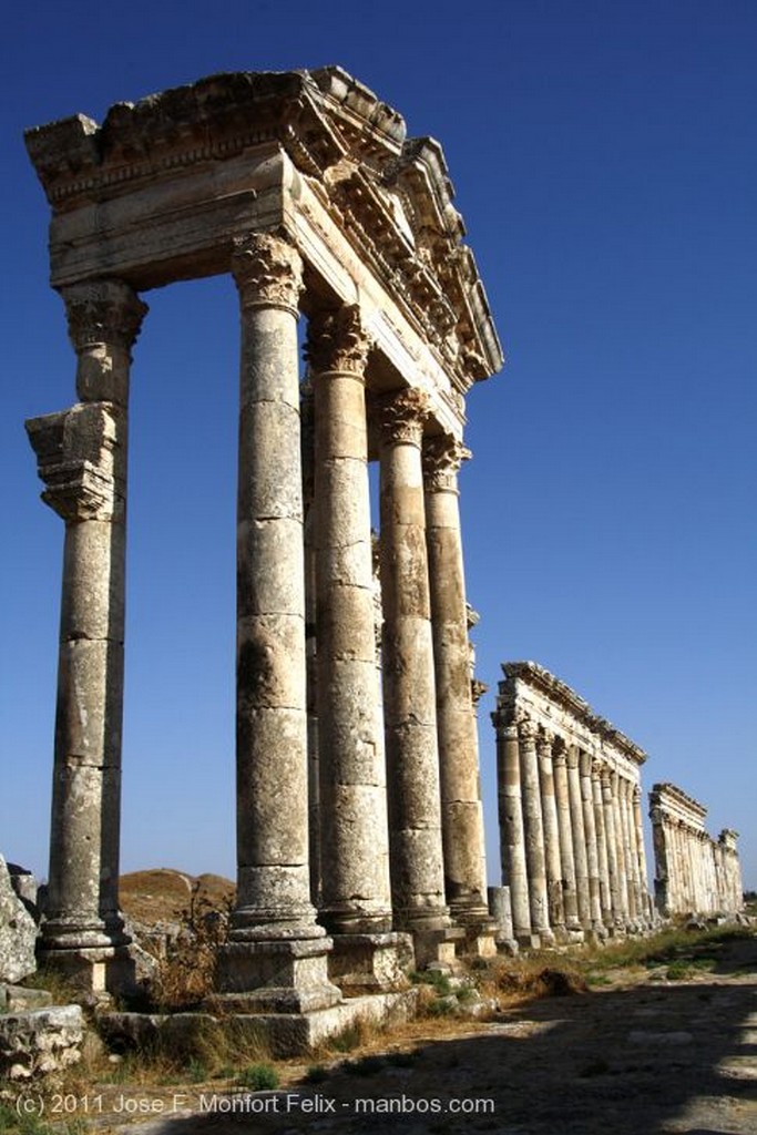 Apamea
Ruinas de Apamea
Hama