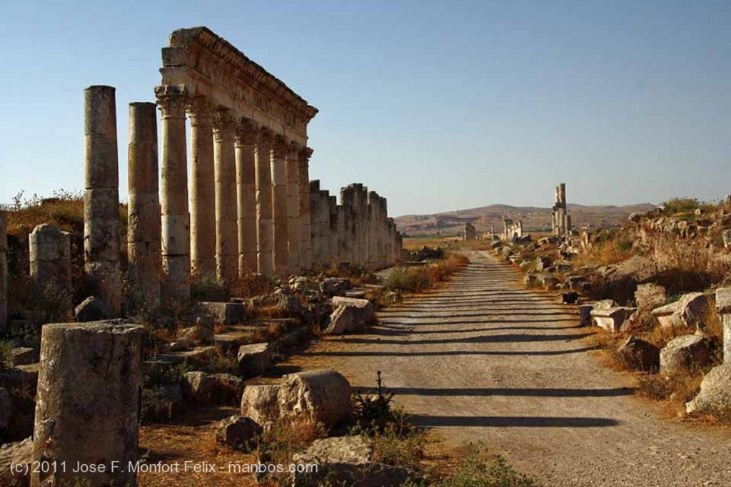 Apamea
Ruinas de Apamea
Hama