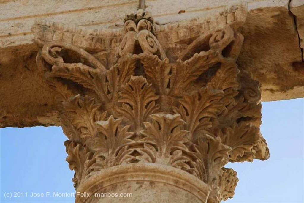 Apamea
Ruinas de Apamea
Hama