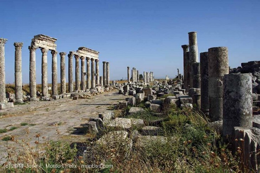Apamea
Ruinas de Apamea
Hama