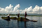 Camara NIKON D70s
Sacando algas
Jorge Gabaldon Garcia
LAGO INLE
Foto: 10755