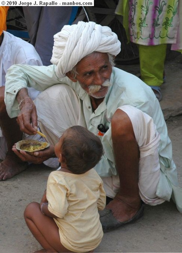 Gwalior
Vendedor Multilingue
Madhya Pradesh