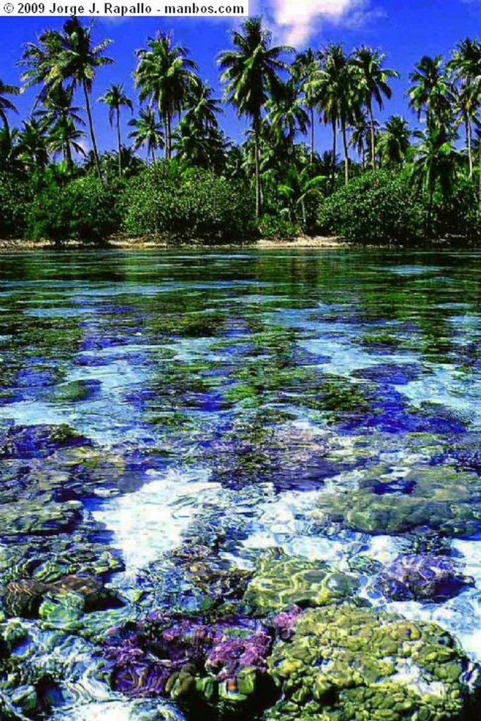 Isla de Moorea
los ultimos rayos
Polinesia Francesa