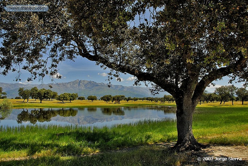 Naturaleza
Encinas
Toledo