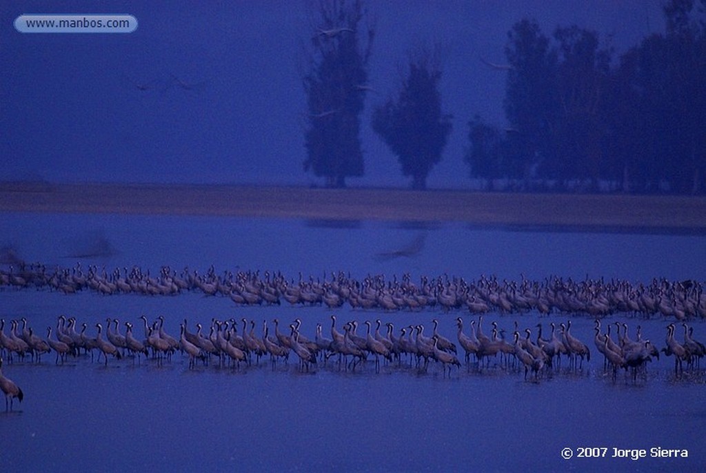 Naturaleza
DOÑANA, PARQUE NACIONAL
Huelva