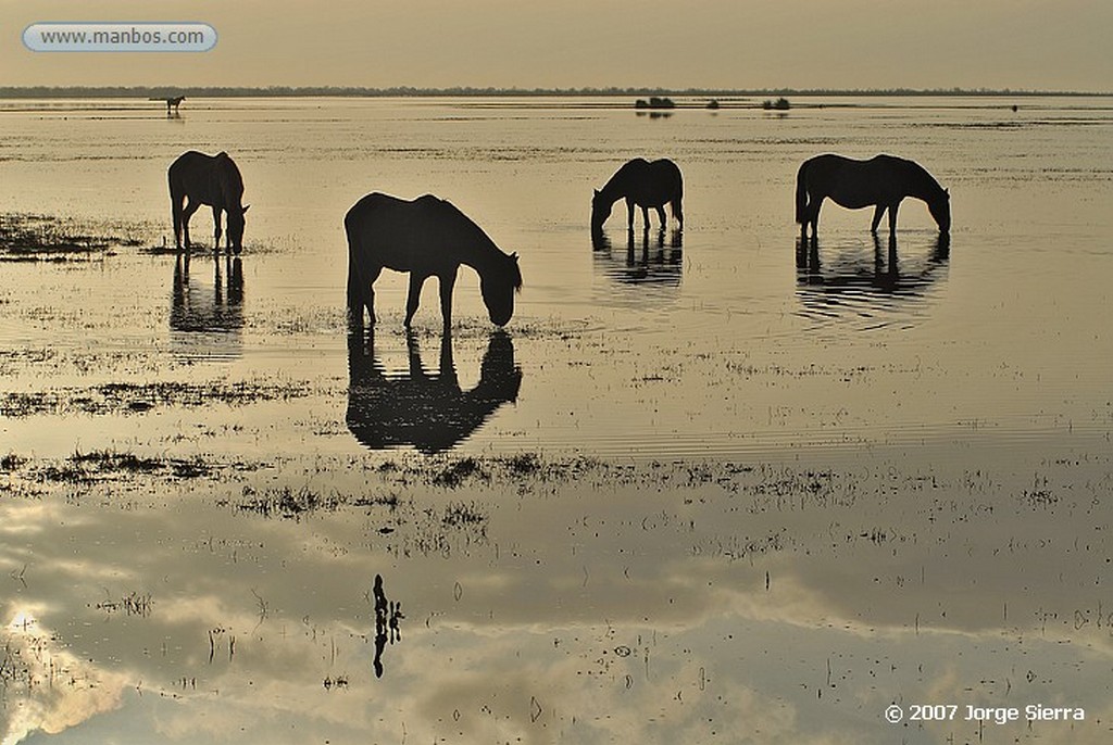 Naturaleza
DOÑANA, PARQUE NACIONAL
Huelva