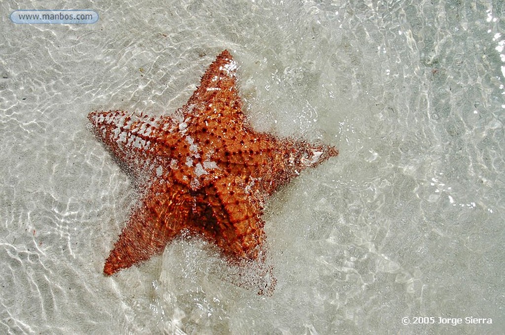 Naturaleza
Los Roques, Parque Nacional - Venezuela
Venezuela