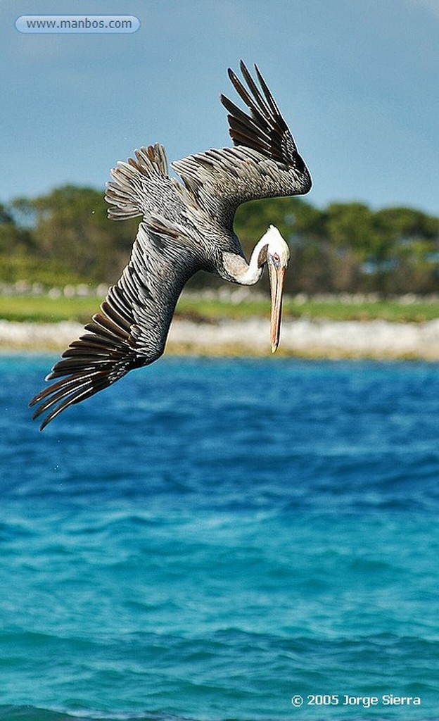 Naturaleza
Los Roques, Parque Nacional - Venezuela
Venezuela