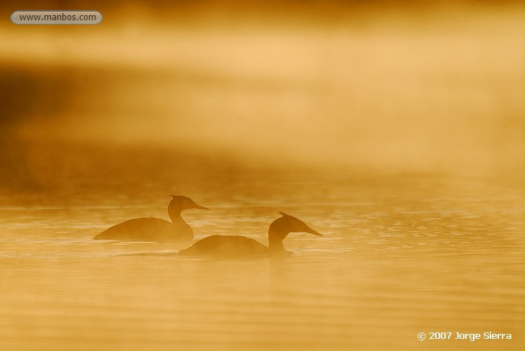 Naturaleza
RIO DULCE
Guadalajara