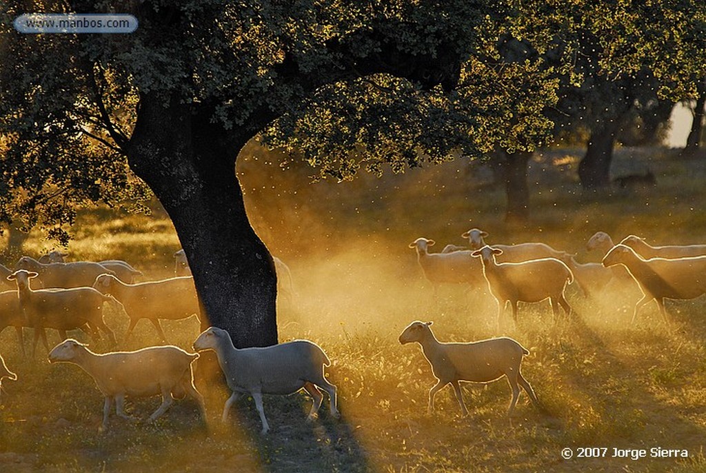 Naturaleza
Namibia
Namibia