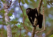 Costa Rica, Naturaleza, Costa Rica