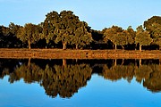 Finca, Naturaleza, España