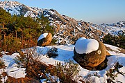 La Pedriza, Naturaleza, España