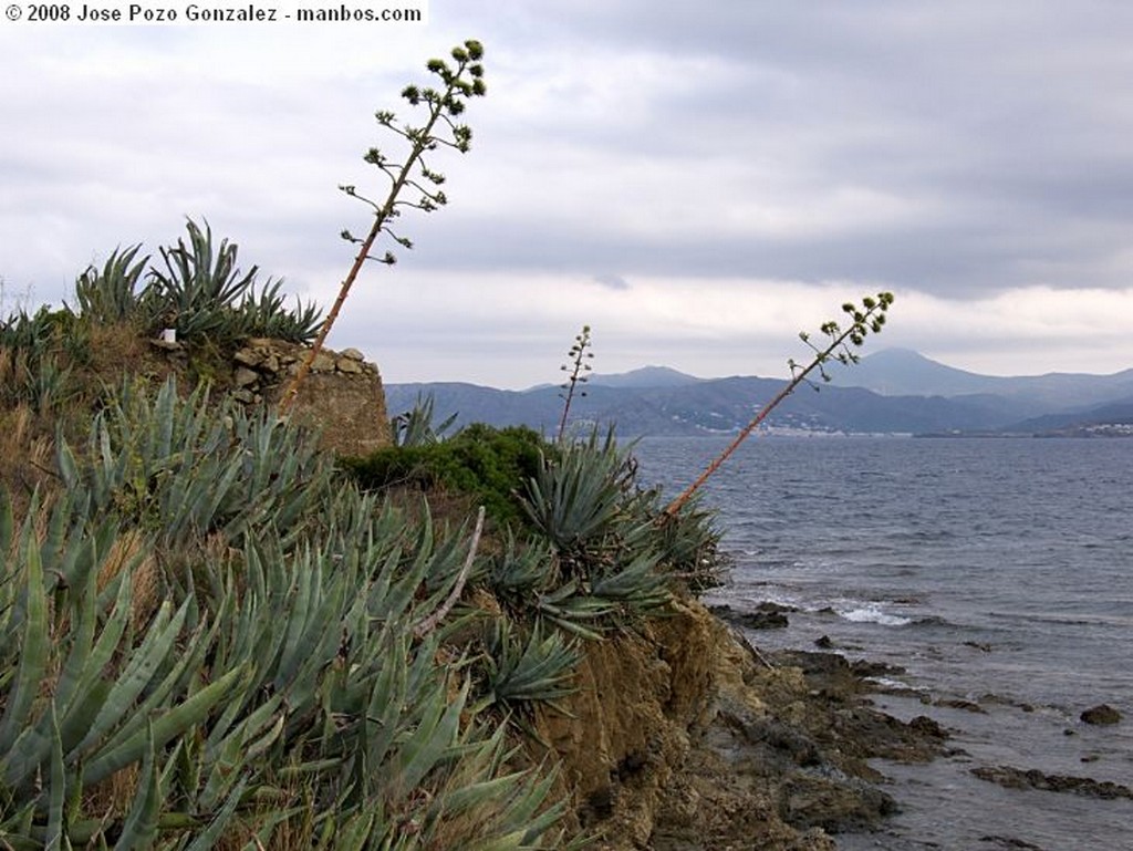 Sant Feliu de Guixols
Arañando el Mar
Girona