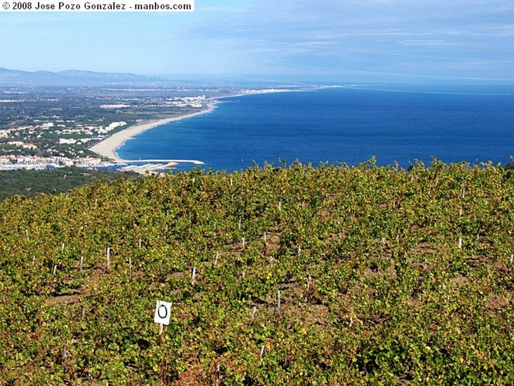 Cote Vermeille
Caminos entre Viñedos
Languedoc Roussillon