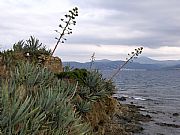 Cala Canyelles, Llanca, España