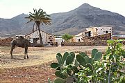 La Alcogida, Tefia, España