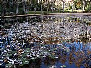 Turo Park, Barcelona, España