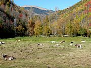 Ripolles, Tregura, España