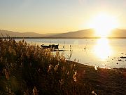 Camara Panasonic Lumix DMC-FZ50
Atardecer en el Lago II
Jose Pozo Gonzalez
CANET EN ROUSSILLON
Foto: 17991