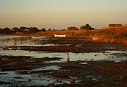 Canet en Roussillon, Canet en Roussillon, Francia