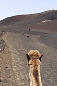 Timanfaya, Tinajo, España