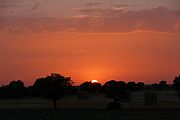 Camara Panasonic Lumix DMC-FZ50
Atardecer Manchego
Jose Pozo Gonzalez
ALBACETE
Foto: 15125