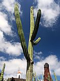 Camara DMC-G1
Jardin de Cactus
Jose Pozo Gonzalez
GUATIZA
Foto: 26076