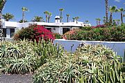 Playa Blanca, Playa Blanca, España