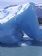 Parque Nacional de los Glaciares
Iceberg 6
Calafate