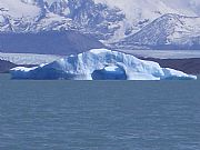 Camara PENTAX Optio S
Iceberg 3
Juan Antonio Urrutia Mieza
PARQUE NACIONAL DE LOS GLACIARES
Foto: 5697