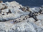 Canal Beagle, Ushuaia, Argentina