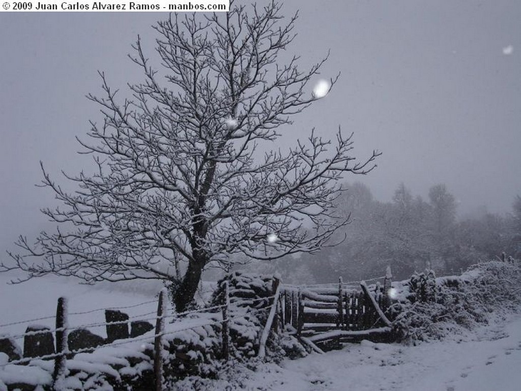 Ribeira Sacra
Samto Estevo
Ourense