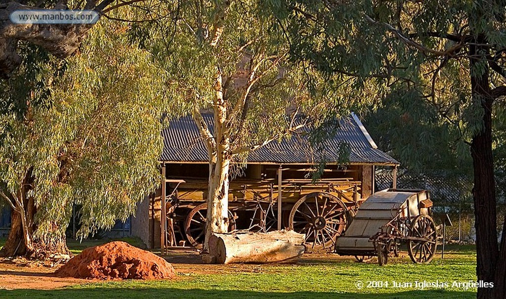 Wirrabara
Eucaliptos
Australia Meridional