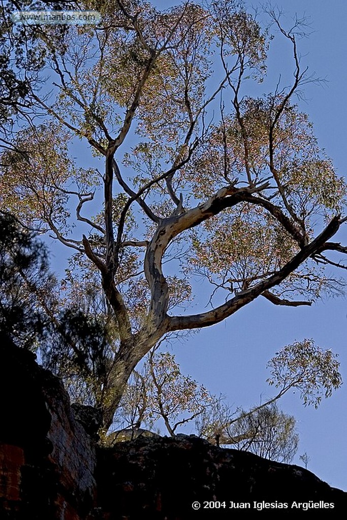 Mt. Remarkable
Australia Meridional