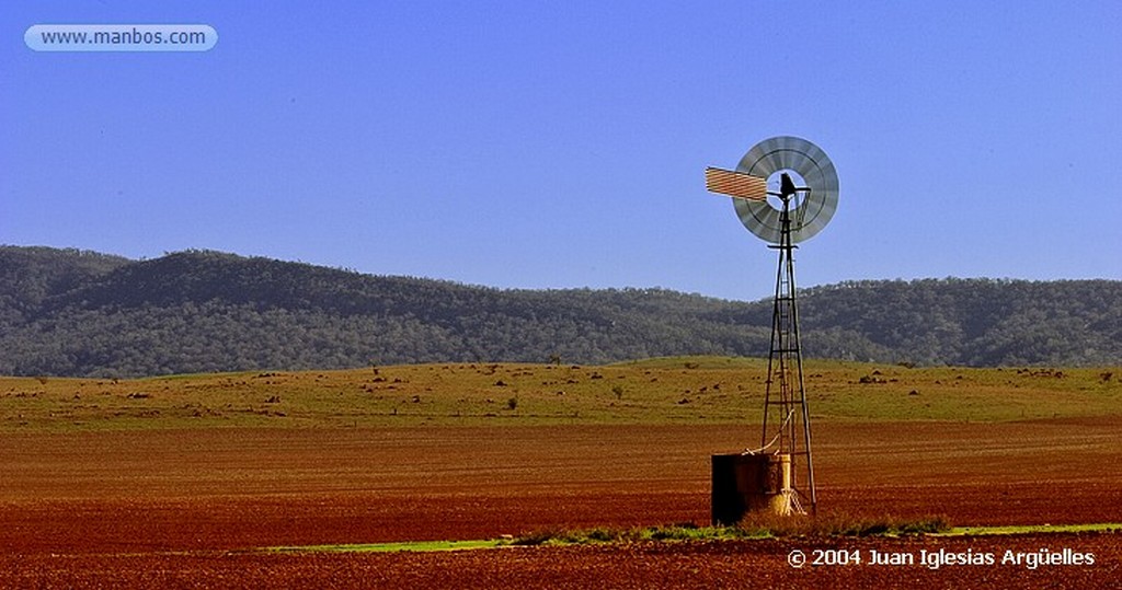 Mt. Remarkable
Canguro
Australia Meridional